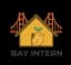 BayIntern logo